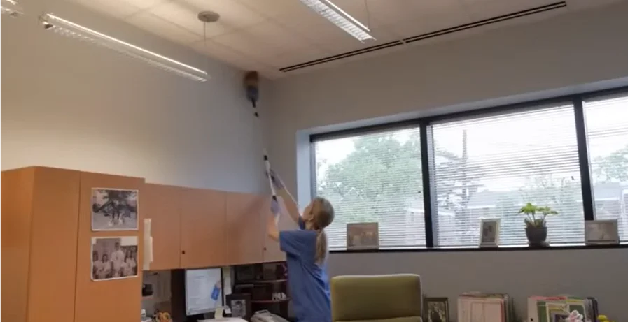 house cleaning services limerick