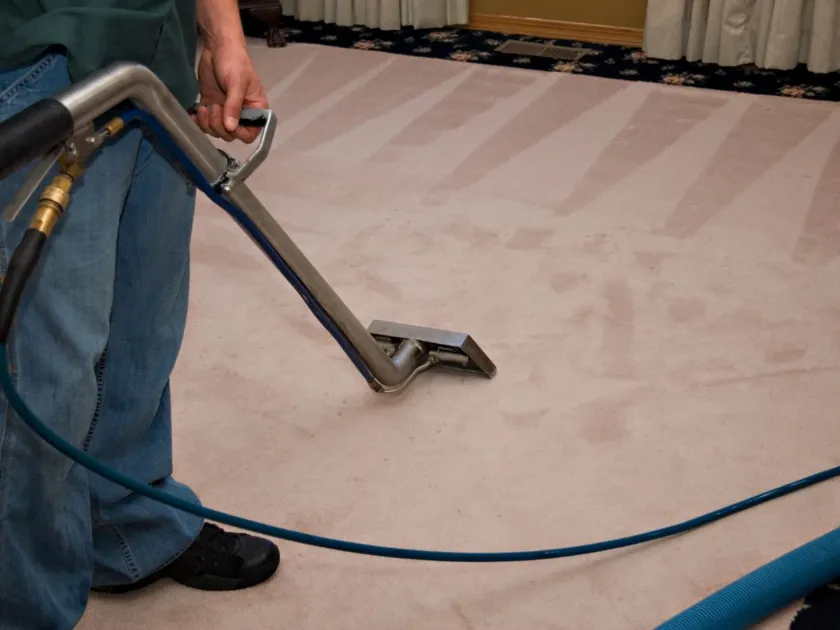 Best Carpet cleaning service
